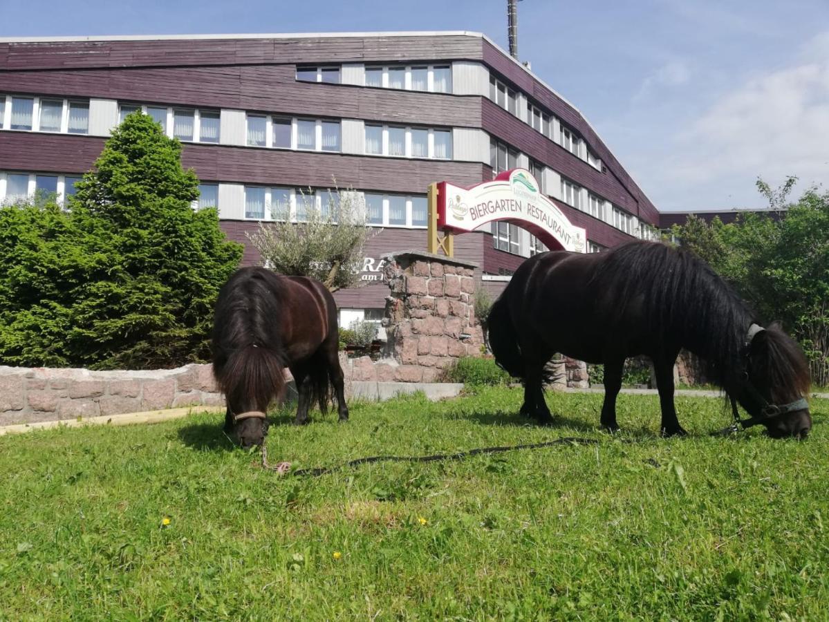 Hotel Lugsteinhof Altenberg  Εξωτερικό φωτογραφία