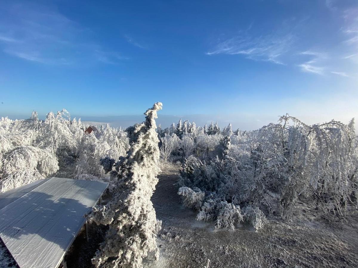 Hotel Lugsteinhof Altenberg  Εξωτερικό φωτογραφία